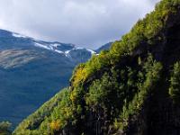 Lichtimpression auf der Rückfahrt mit der Flåmbahn